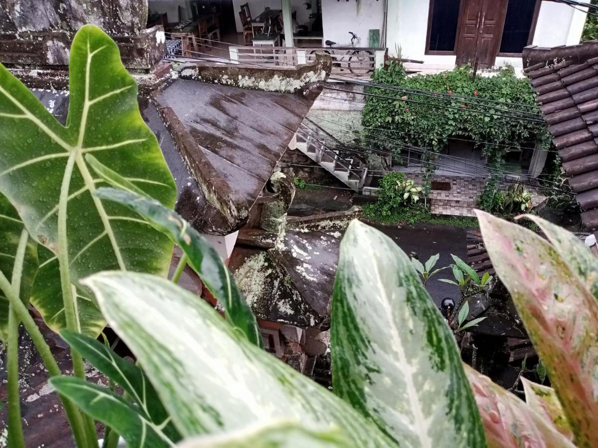 Wah Teja Homestay 乌布 外观 照片